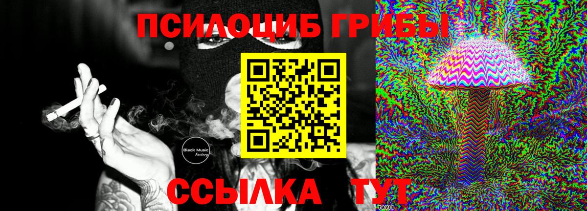 Галлюциногенные грибы Psilocybine cubensis Тольятти