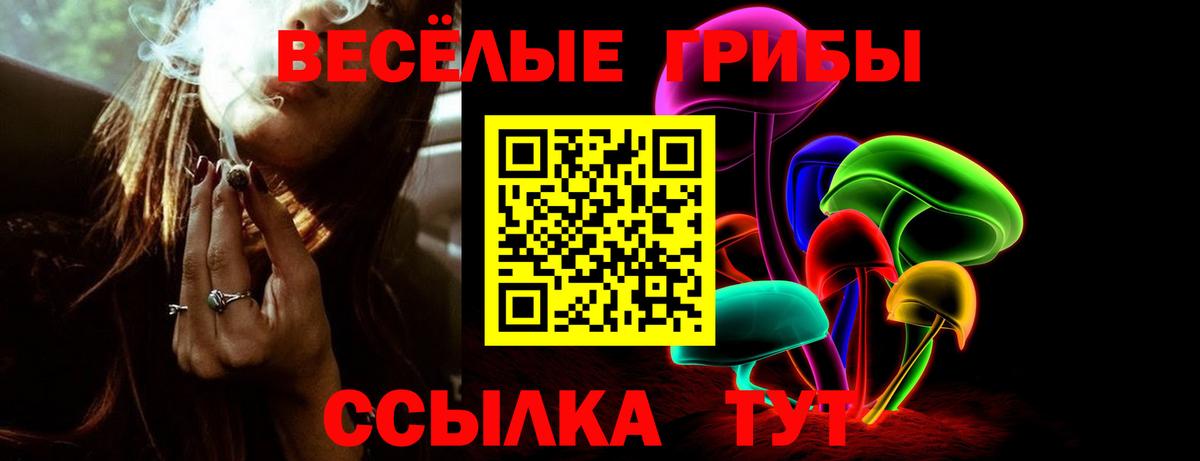 Тольятти  Галлюциногенные грибы ЛСД  Вход с VPN 